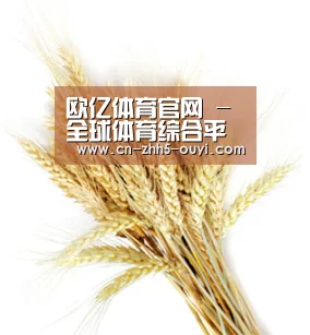 欧亿体育官网 - 全球体育综合平台