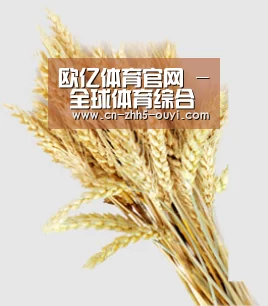 欧亿体育官网 - 全球体育综合平台