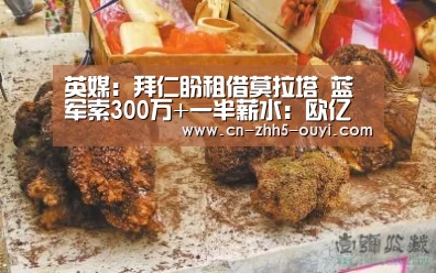 英媒:拜仁盼租借莫拉塔 蓝军索300万+一半薪水:欧亿体育公司(图4) 欧亿体育